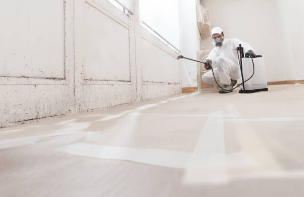 24/7 Emergency Black Mold Remediation experts in Ardmore, PA